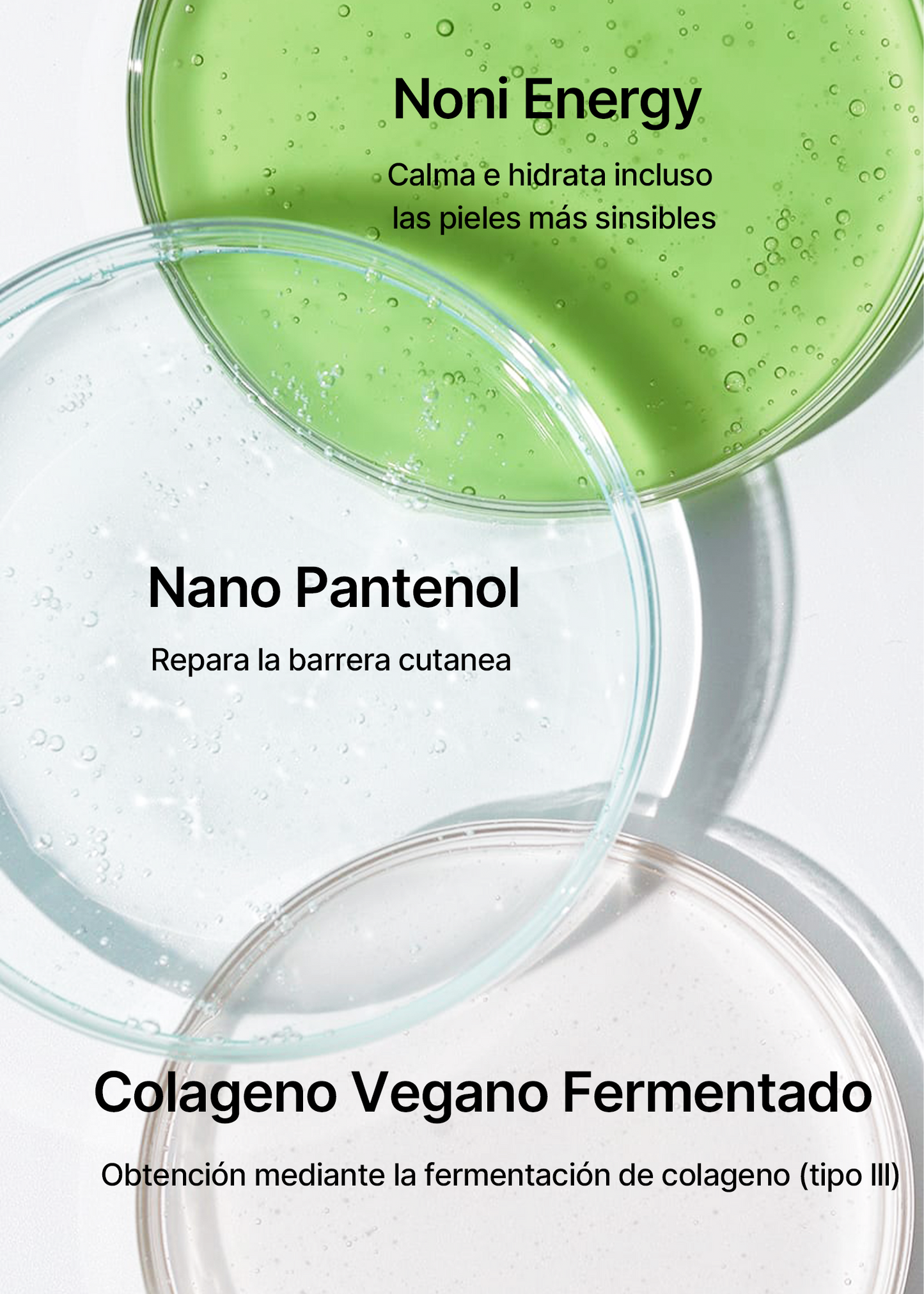 The Real Noni Energy Ampoule